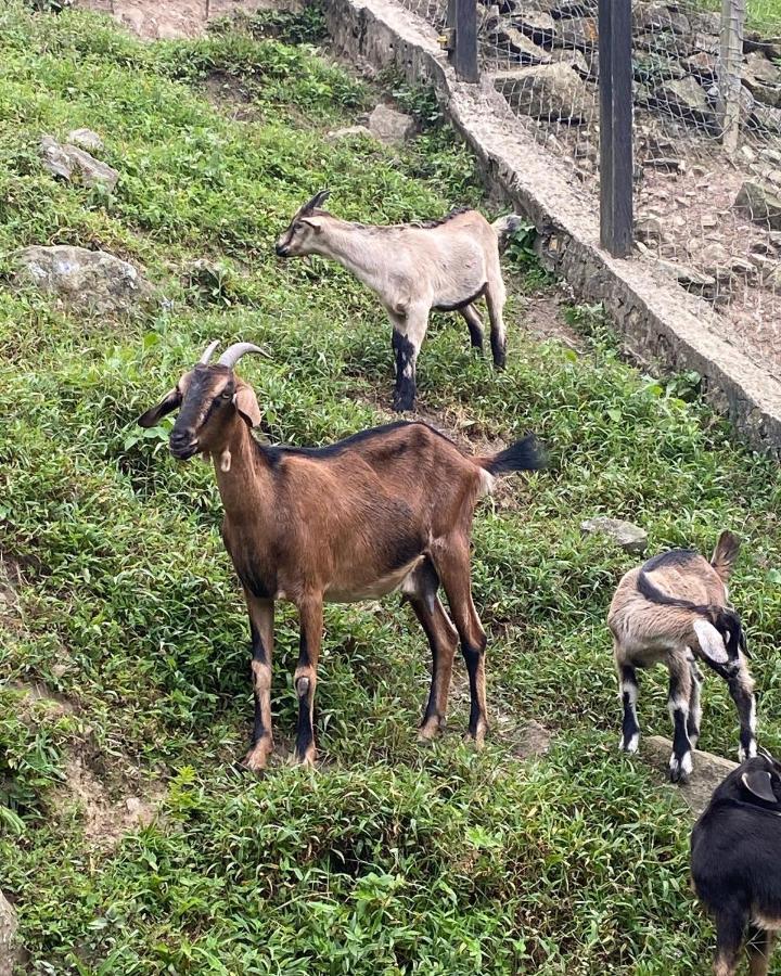 Rancho Ecoturistico El Faro Hotel La Mesa  Eksteriør billede